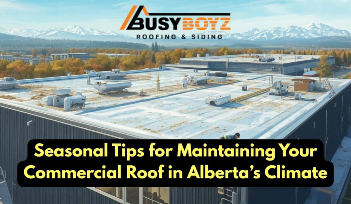 commercial roofing installation edmonton – Busy Boyz Roofing