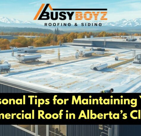 commercial roofing installation edmonton – Busy Boyz Roofing