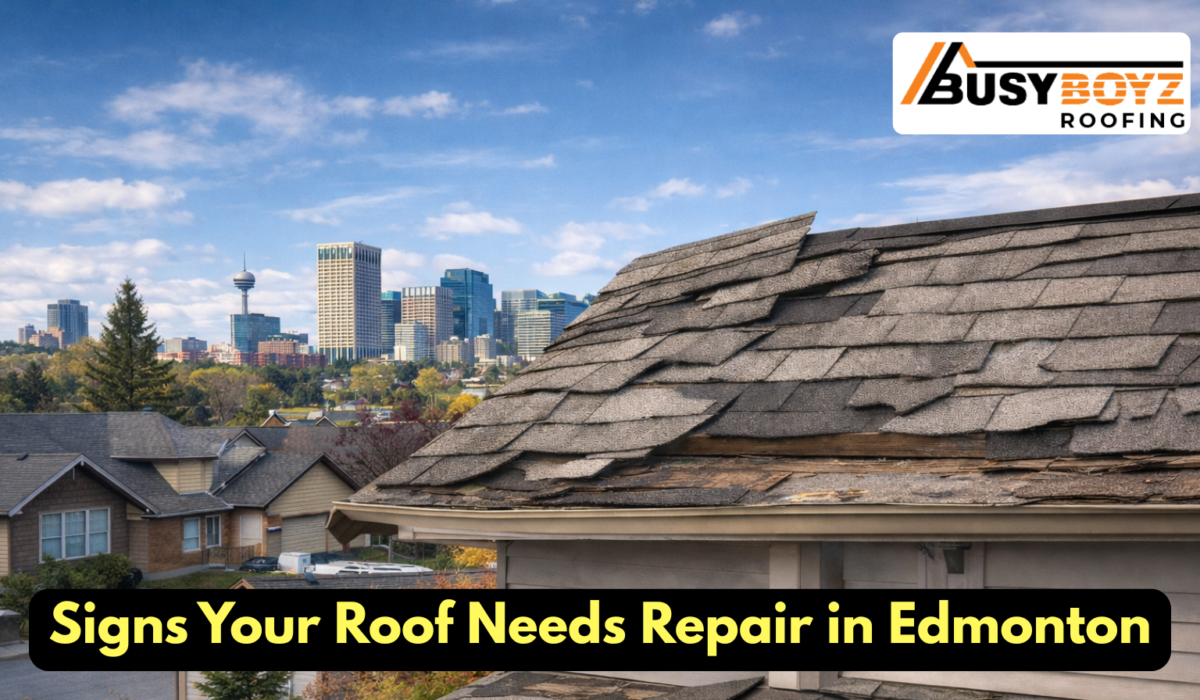 Signs Your Roof Needs Repair in Edmonton